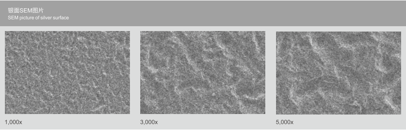 zoty��ŷ��(�й����޹�˾)�ٷ���վ