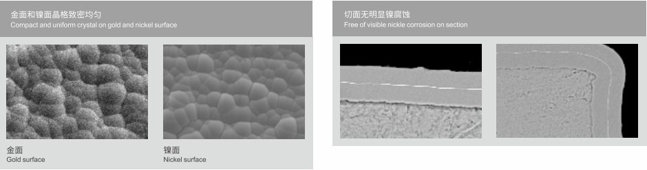 zoty��ŷ��(�й����޹�˾)�ٷ���վ